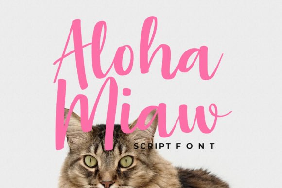 Aloha Miaw Font - Featured Image