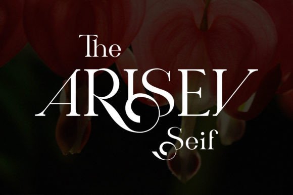 Arisev Font - Featured Image