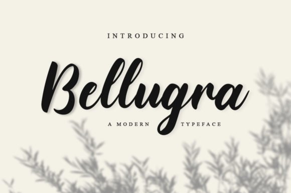 Bellugra Font - Featured Image
