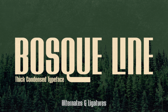 Bosque Line Font - Featured Image