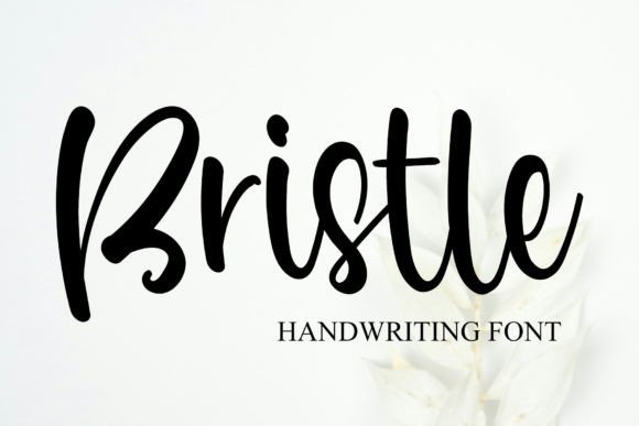 Bristle Font - Featured Image