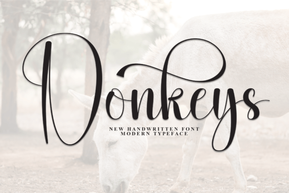 Donkeys Font - Featured Image