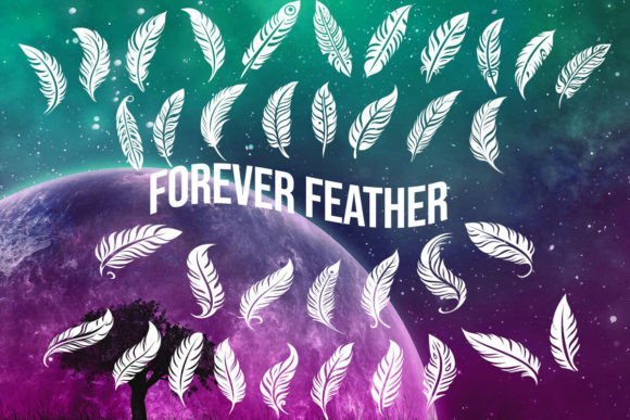 Forever Feather Font - Featured Image