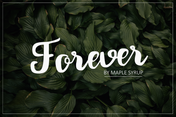 Forever Script Font - Featured Image