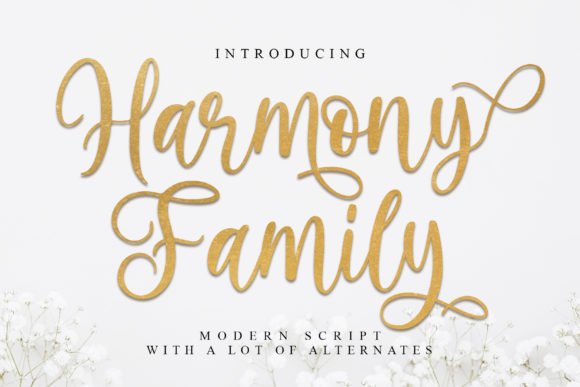 Harmony Family Font - Featured Image