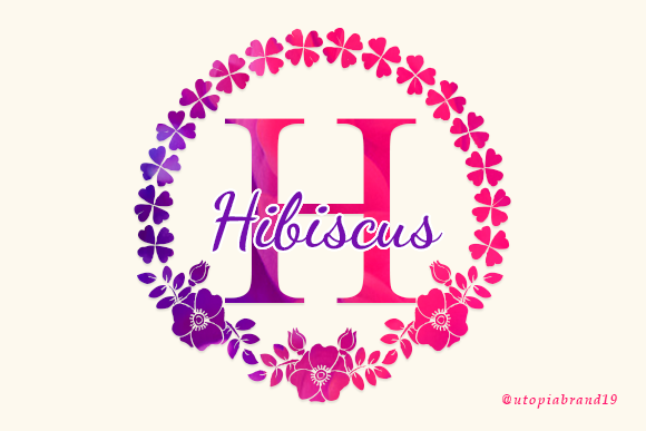 Hibiscus Monogram Font - Featured Image