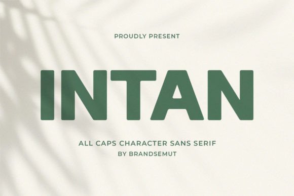 Intan Font - Featured Image