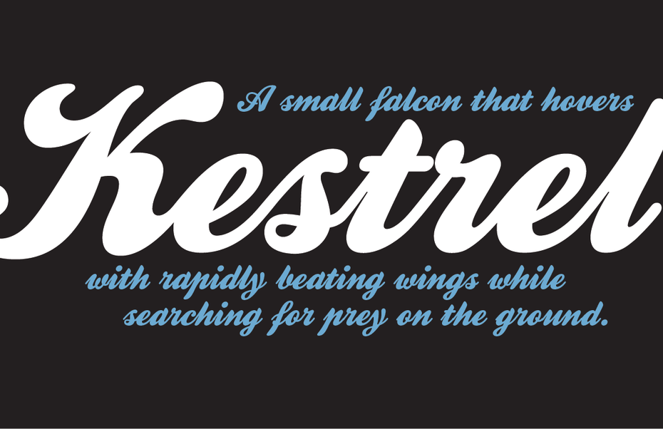 Kestrel Script Font - Featured Image
