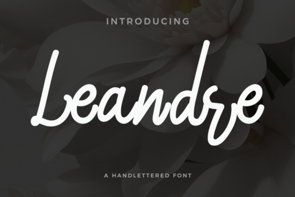 Leandre Font - Featured Image
