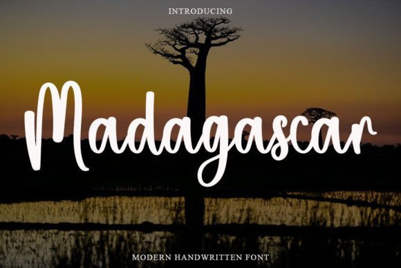 Madagascar Font - Featured Image