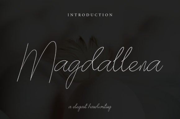 Magdallena Font - Featured Image