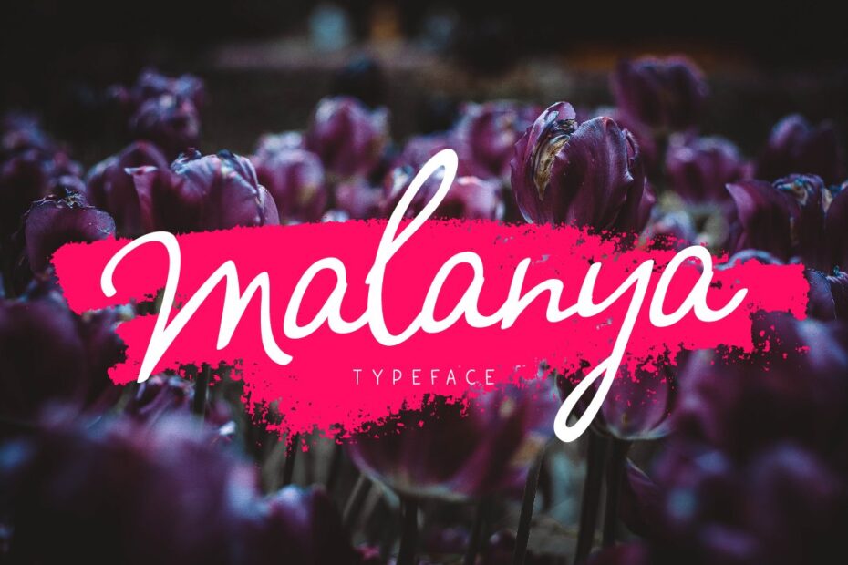 Malanya Font - Featured Image