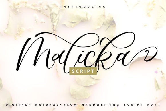 Malicka Font - Featured Image