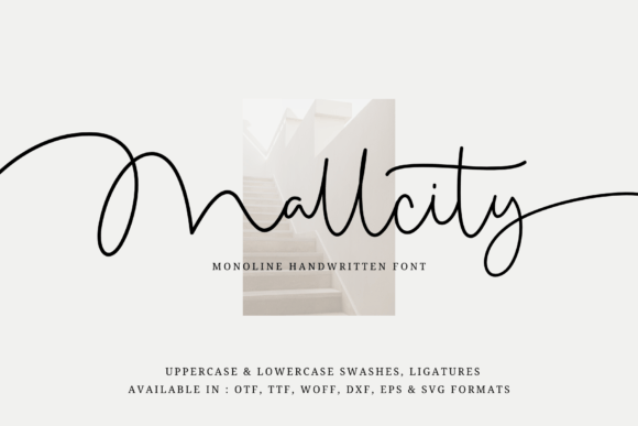 Mallcity Font - Featured Image