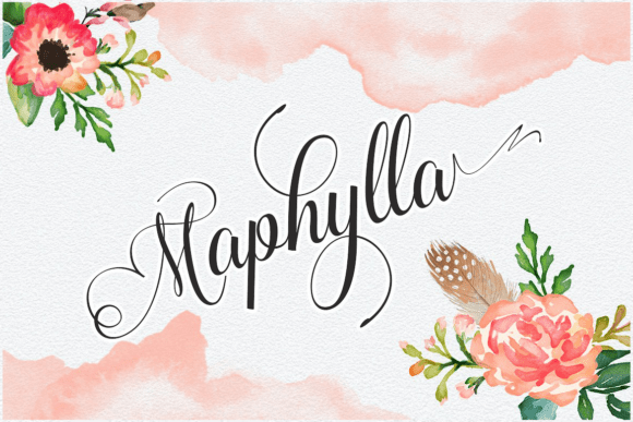 Maphylla Font - Featured Image