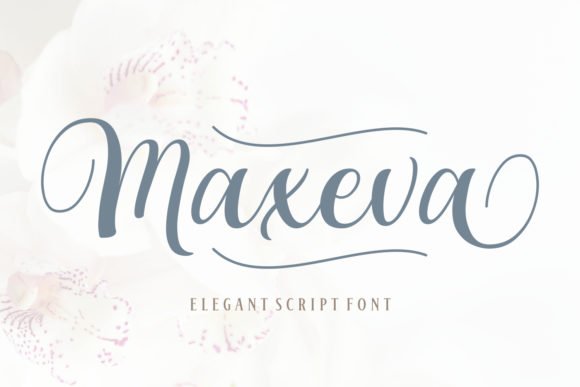 Maxeva Font - Featured Image