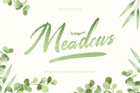 Meadows Font - Featured Image