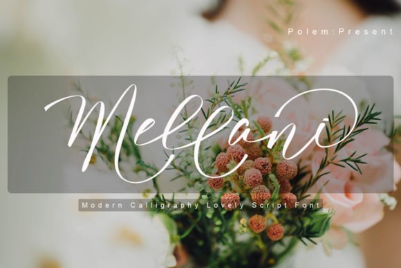 Mellani Font - Featured Image