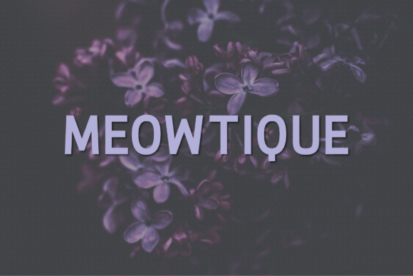 Meowtique Font - Featured Image