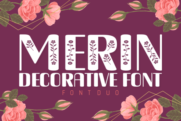 Merin Font - Featured Image