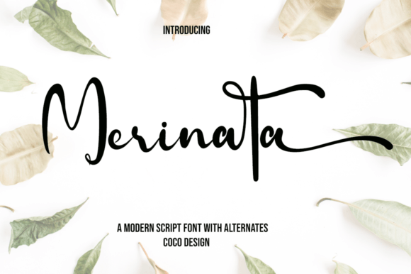 Merinata Font - Featured Image