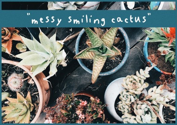 Messy Smiling Cactus Font - Featured Image