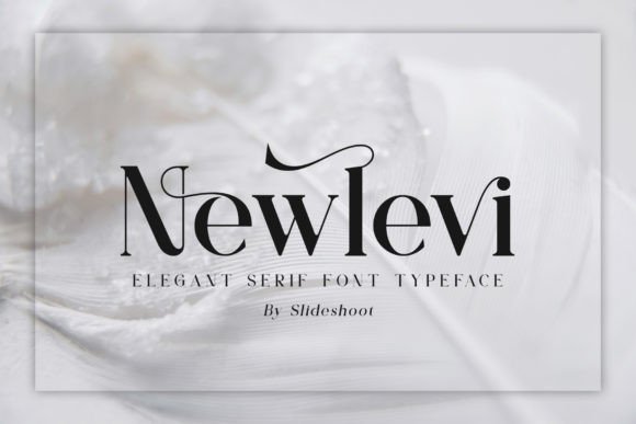 Newlevi Font - Featured Image