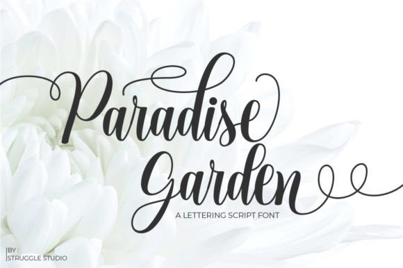 Paradise Garden Font - Featured Image