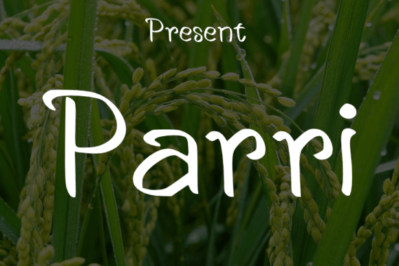 Parri Font - Featured Image