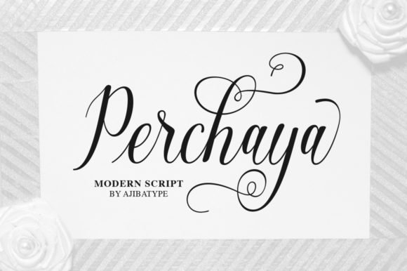 Perchaya Script Font - Featured Image