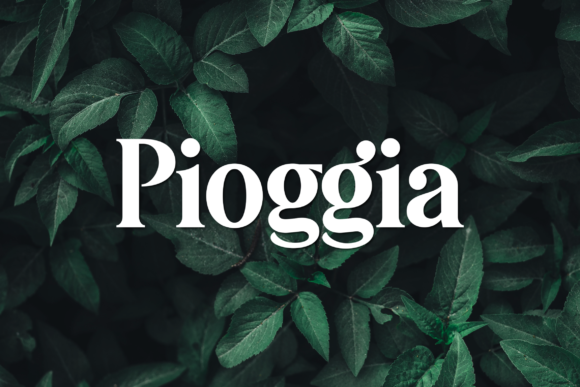 Pioggia Font - Featured Image