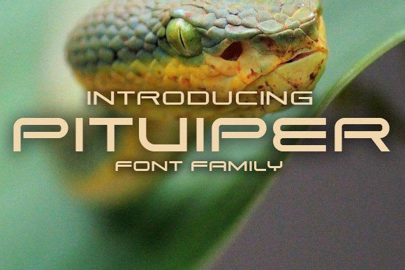 Pitviper Font - Featured Image