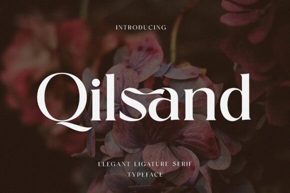 Qilsand Font - Featured Image