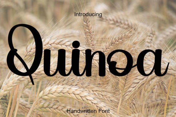 Quinoa Font - Featured Image