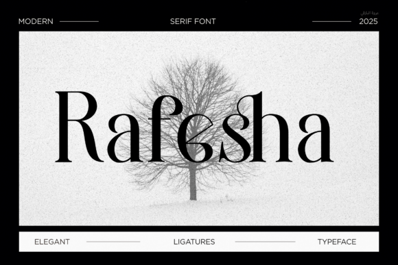 Rafesha Font - Featured Image
