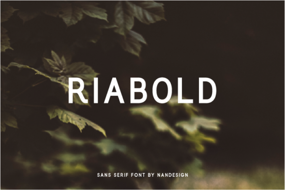 Riabold Font - Featured Image