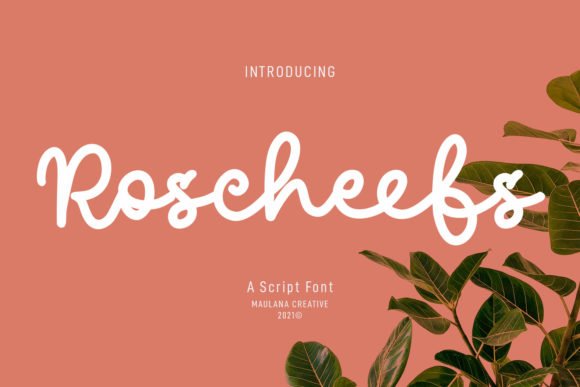 Roscheefs Script Font - Featured Image