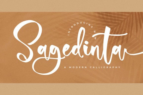 Sagedinta Font - Featured Image