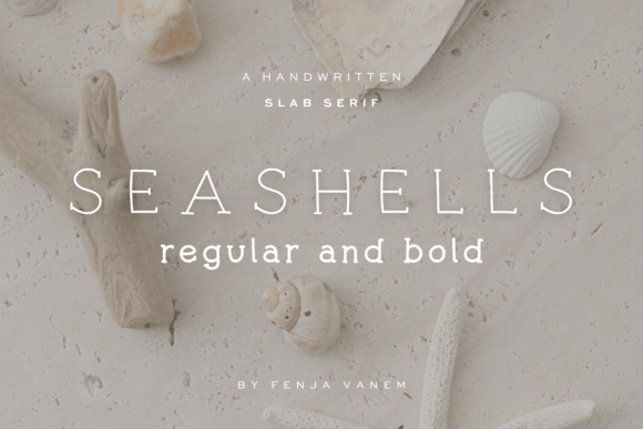 Seashells Font - Featured Image