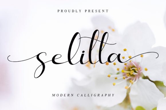 Selitta Font - Featured Image