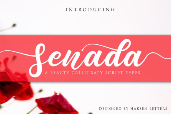 Senada Font - Featured Image