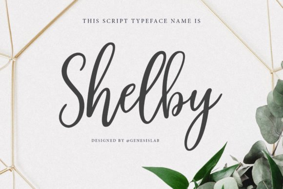Shelby Script Font - Featured Image