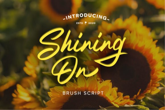 Shining on Font - Featured Image